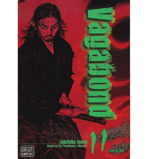 Vagabond Delux 11