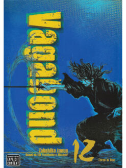 Vagabond Delux 12