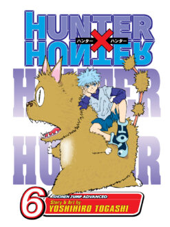 Hunter x Hunter 6