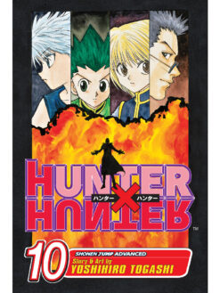Hunter x Hunter 10