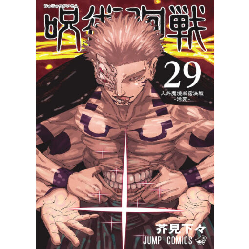Jujutsu Kaisen 29