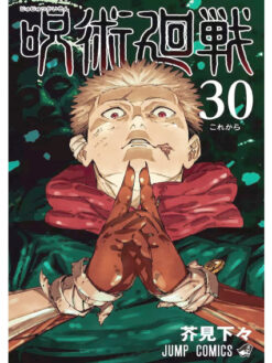 Jujutsu Kaisen 30