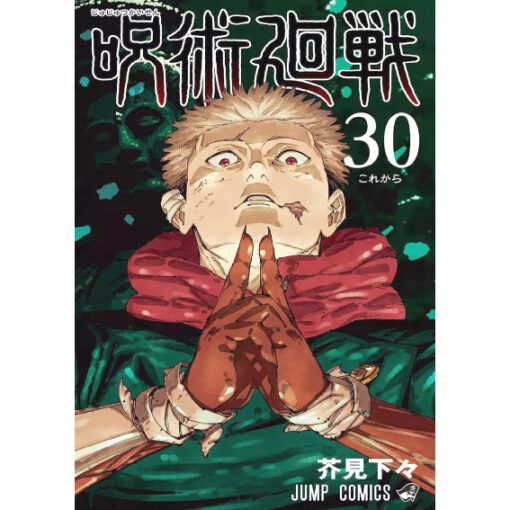 Jujutsu Kaisen 30