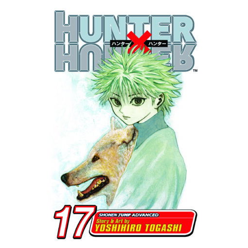 Hunter x Hunter 17