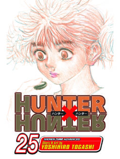 Hunter x Hunter 25