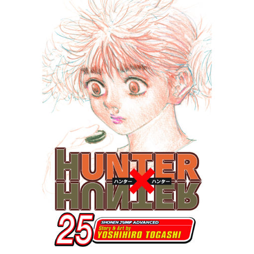 Hunter x Hunter 25