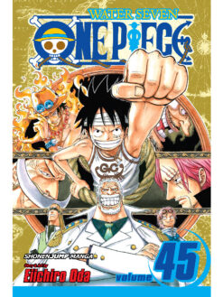 One Piece 45