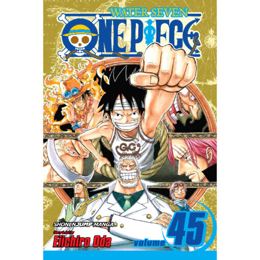 One Piece 45