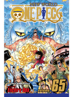 one piece 65