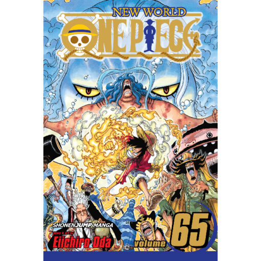 one piece 65