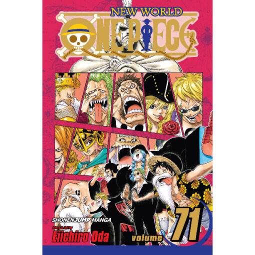 one piece 71