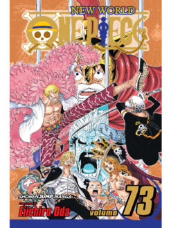 one piece 73