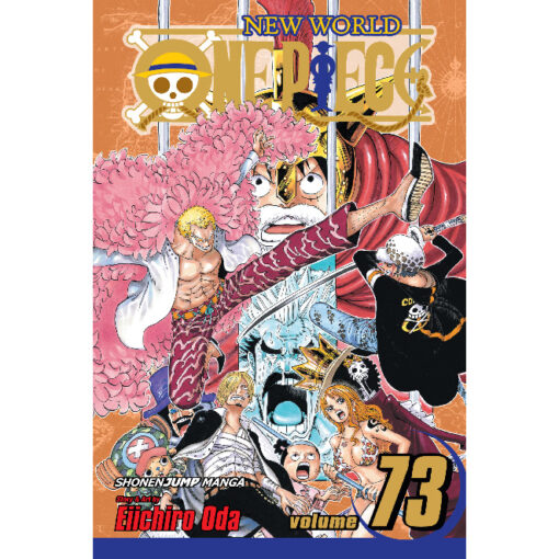 one piece 73