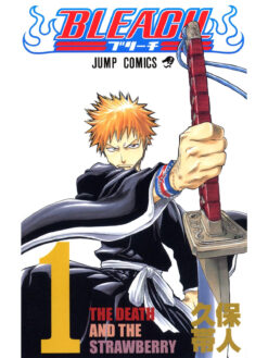 Bleach 1