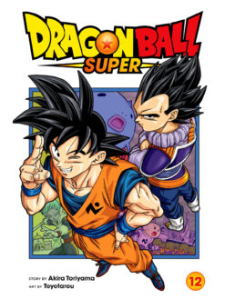 Dragon Ball Super 12