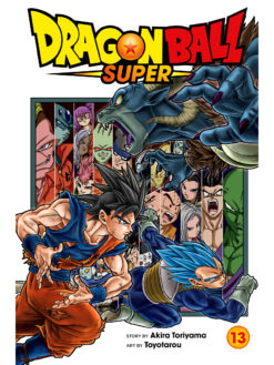 Dragon Ball Super 13