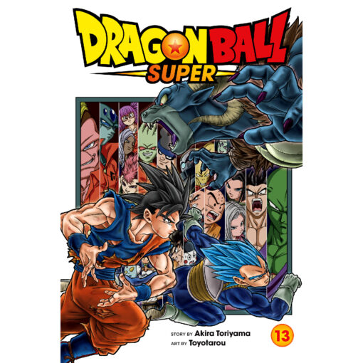 Dragon Ball Super 13