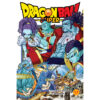 Dragon Ball Super 17