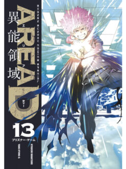 Area D-13