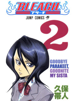Bleach 2