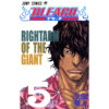 Bleach 5