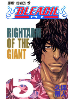 Bleach 5