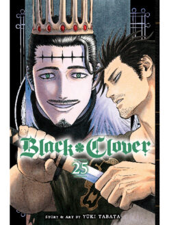 Black Clover 25