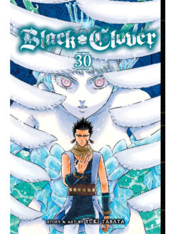 Black Clover 30
