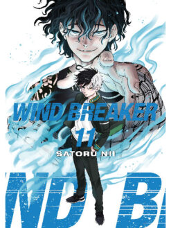 Wind Breaker 11