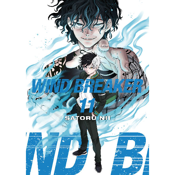 Wind Breaker 11
