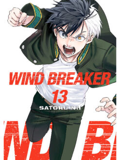 Wind Breaker 13